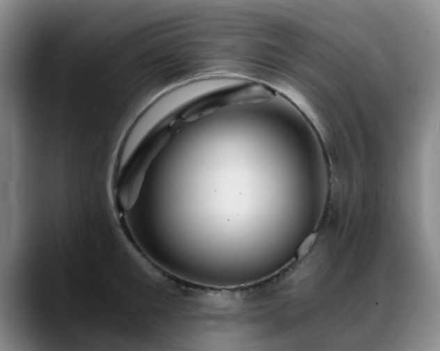 X0000088860901200706151733