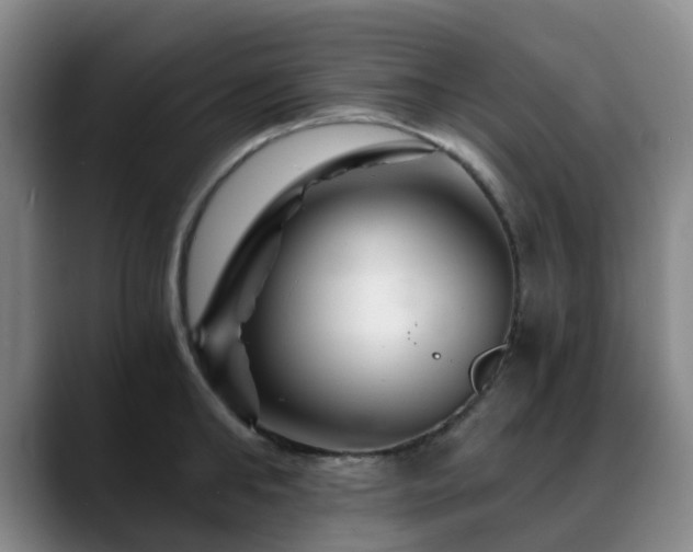 X0000088860902200706151733