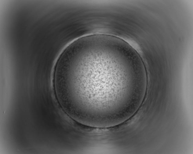 X0000088860912200706151733