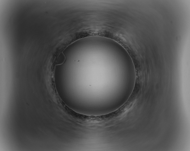 X0000088860913200706151733