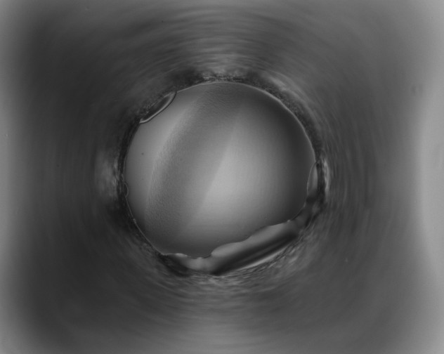 X0000088860915200706151733