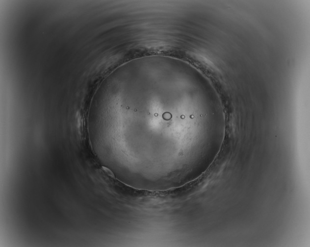 X0000088860917200706151733