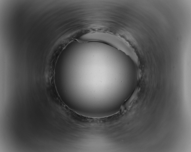 X0000088860920200706151733