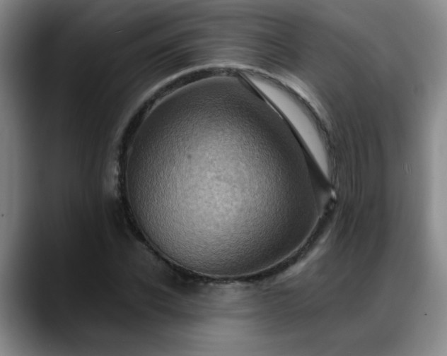 X0000088860926200706151733