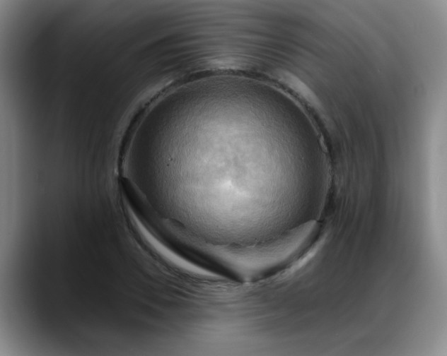 X0000088860930200706151733