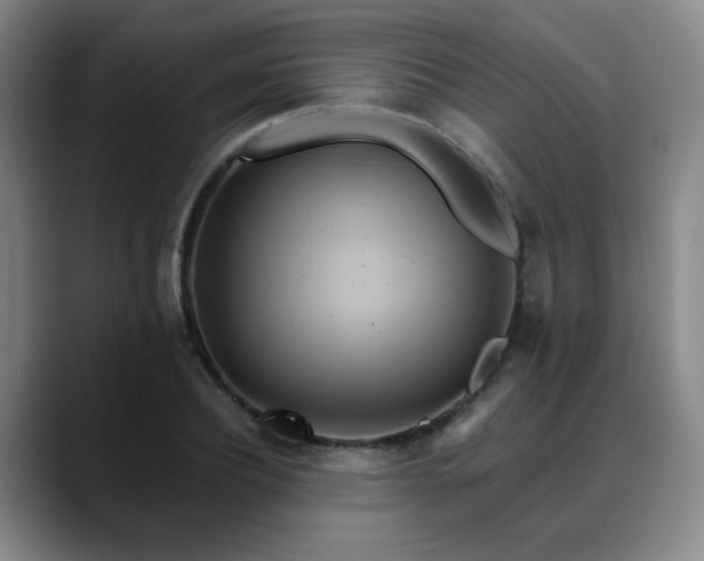 X0000088860932200706151733