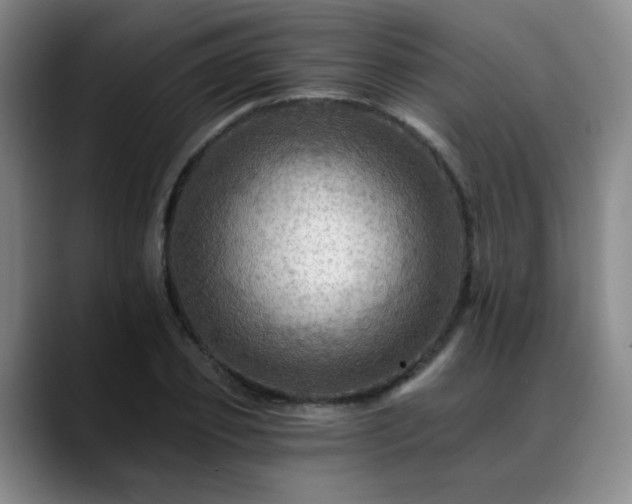 X0000088860933200706151733