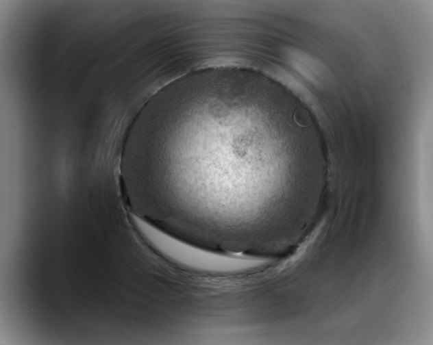 X0000088860937200706151733