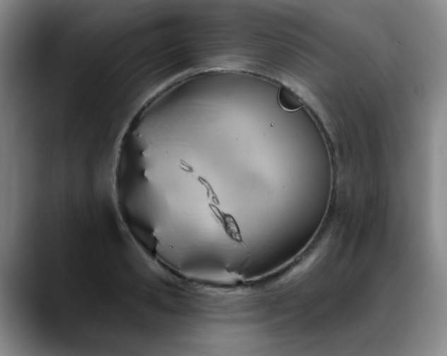 X0000088860941200706151733