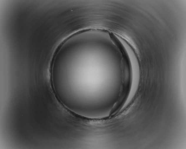 X0000088860944200706151733