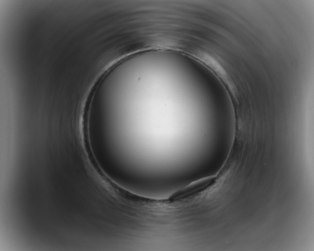 X0000088860947200706151733