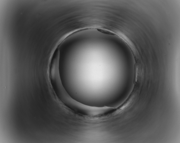 X0000088860956200706151733