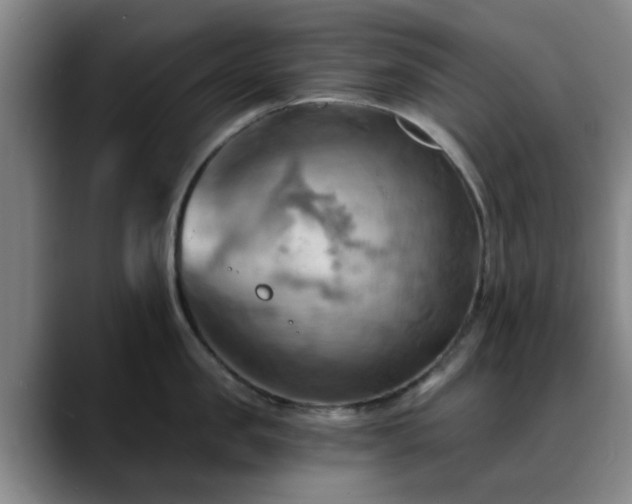 X0000088860957200706151733
