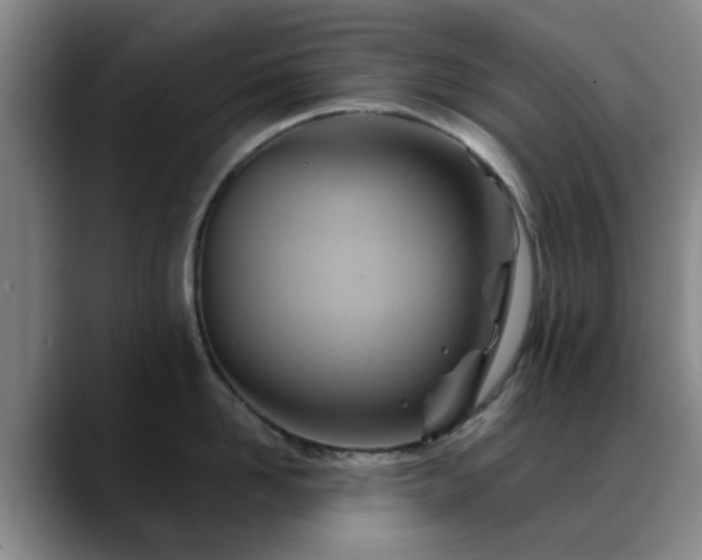 X0000088860958200706151733