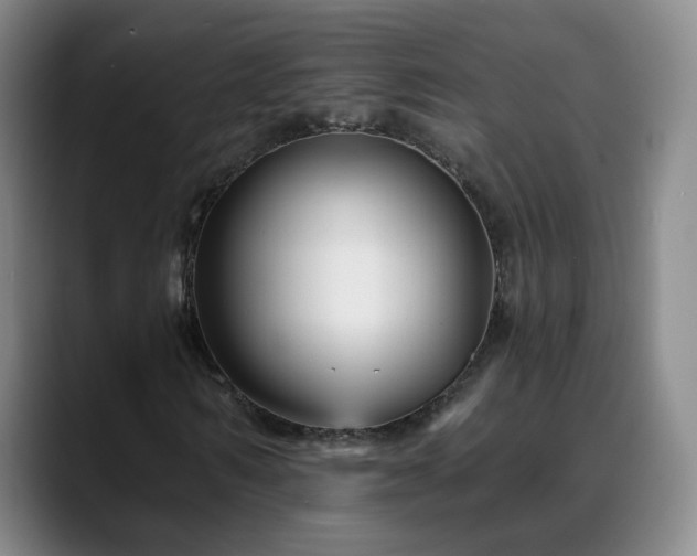 X0000088860962200706151733