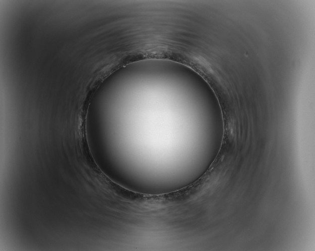 X0000088860964200706151733
