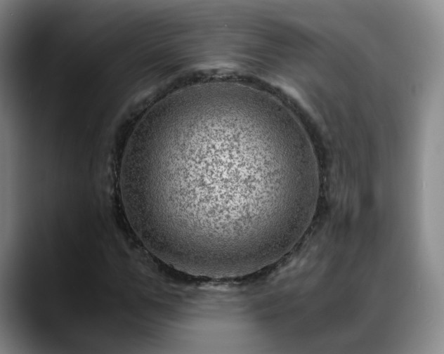 X0000088860967200706151733