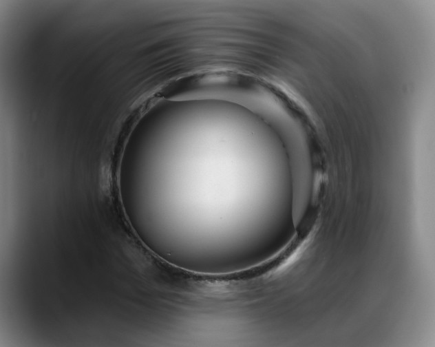 X0000088860969200706151733
