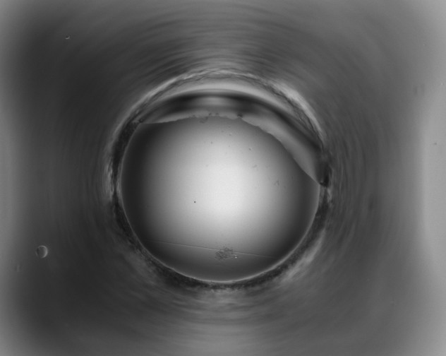 X0000088860973200706151733