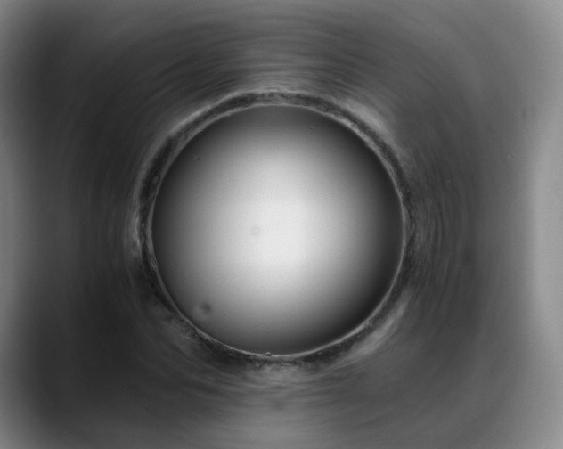 X0000088860974200706151733