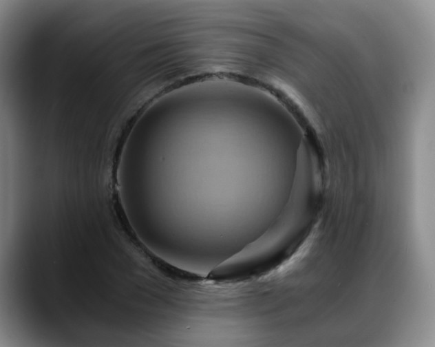 X0000088860977200706151732