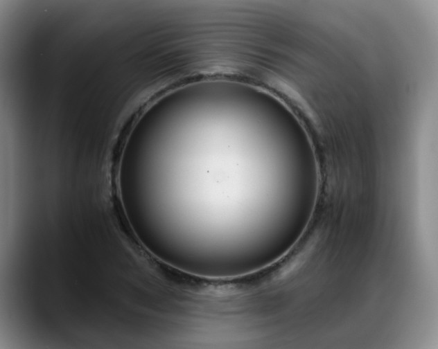 X0000088860978200706151732