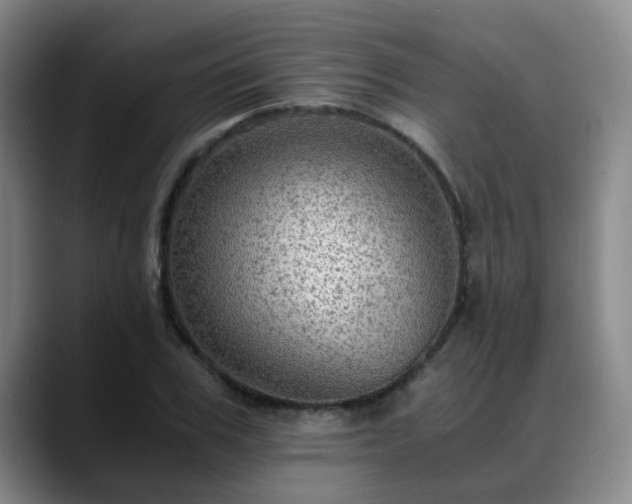X0000088860979200706151732