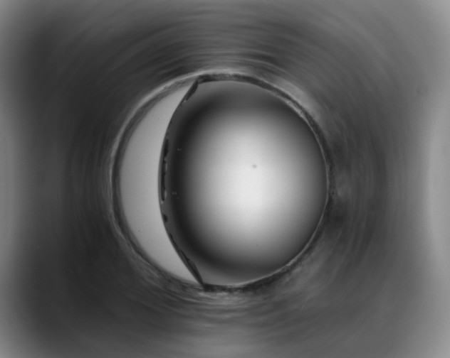 X0000088860980200706151732