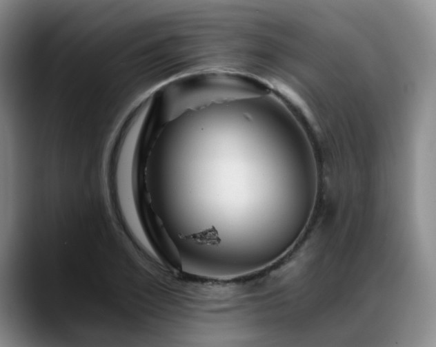 X0000088860981200706151732