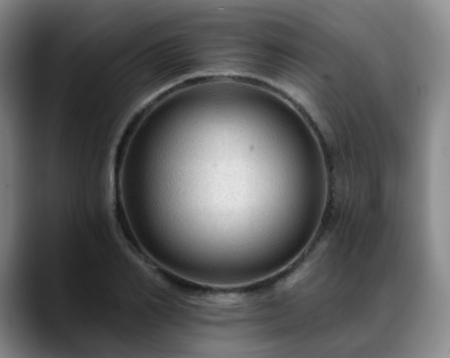 X0000088860982200706151732