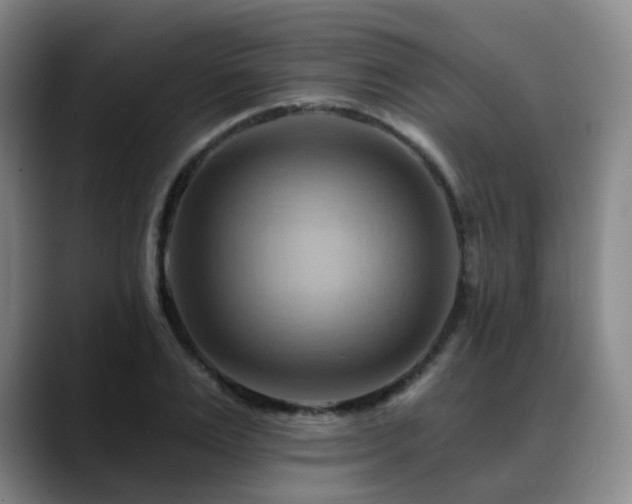 X0000088860983200706151732