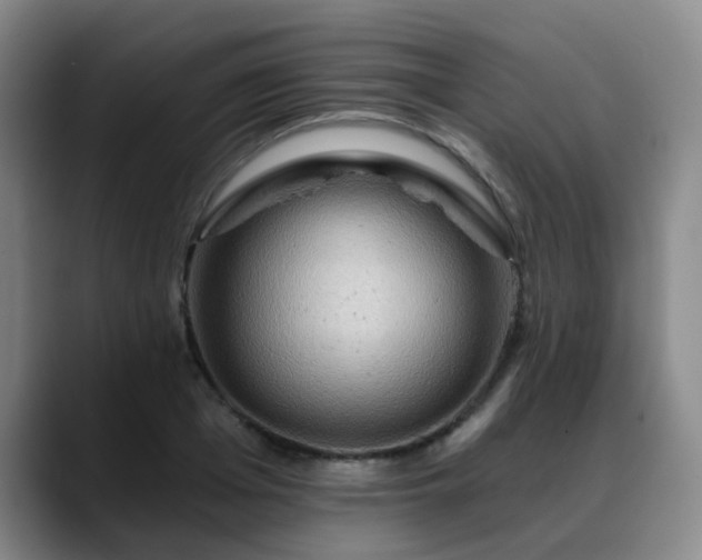 X0000088860985200706151732