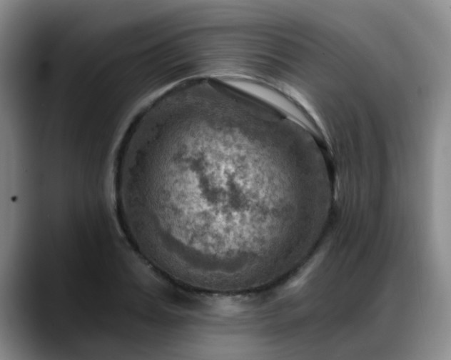 X0000088860987200706151732