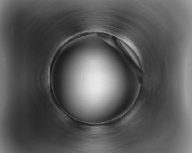 X0000088860988200706151732