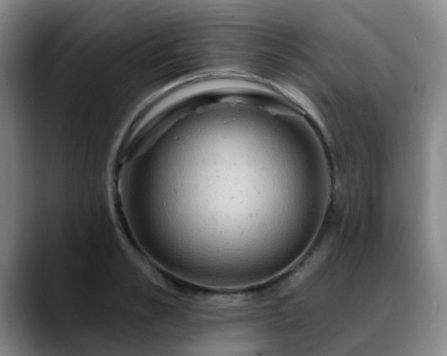 X0000088860989200706151732