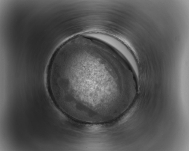 X0000088860991200706151732