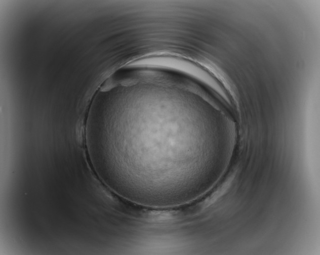 X0000088860993200706151732