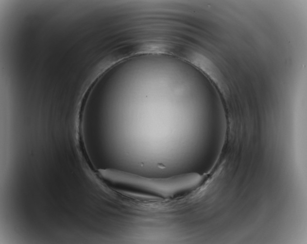 X0000088860994200706151732
