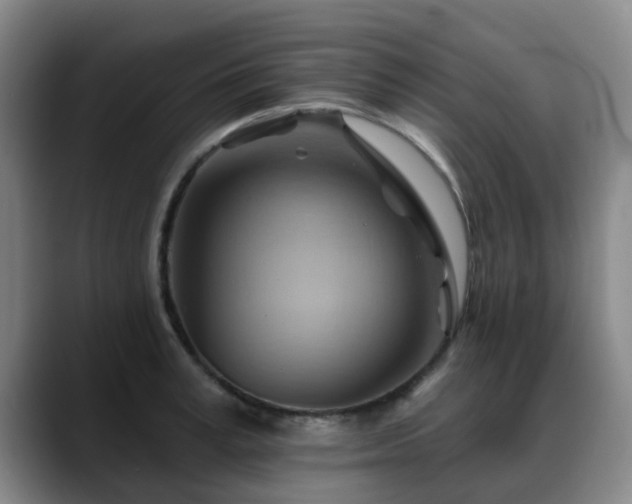 X0000088860995200706151732