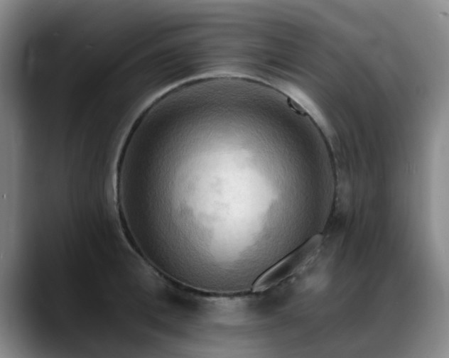 X0000088860996200706151732