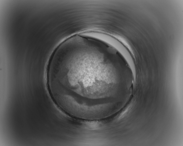X0000088860999200706151732