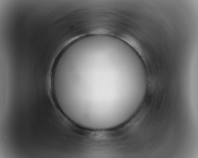 X0000088861000200706151732