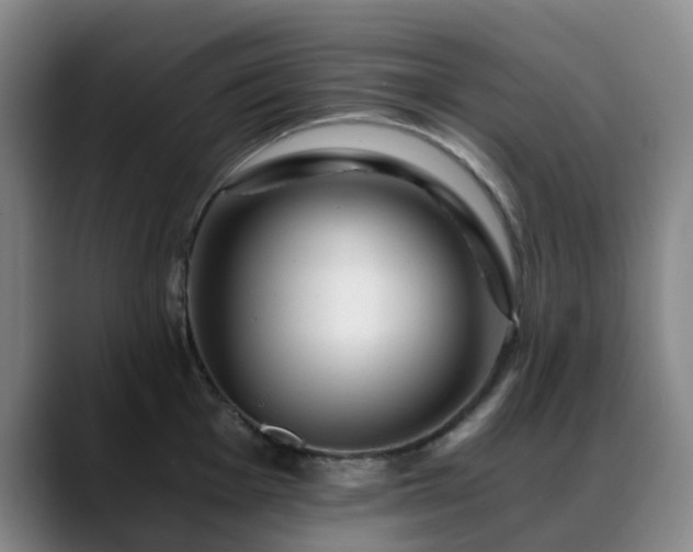 X0000088861001200706151732