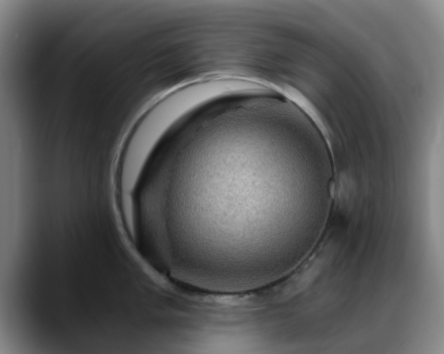 X0000088861005200706151732