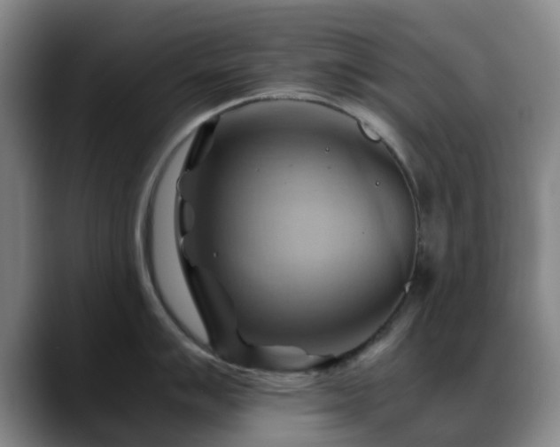 X0000088861007200706151732