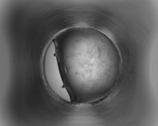 X0000088861008200706151732