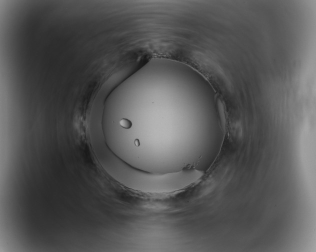 X0000088861010200706151732