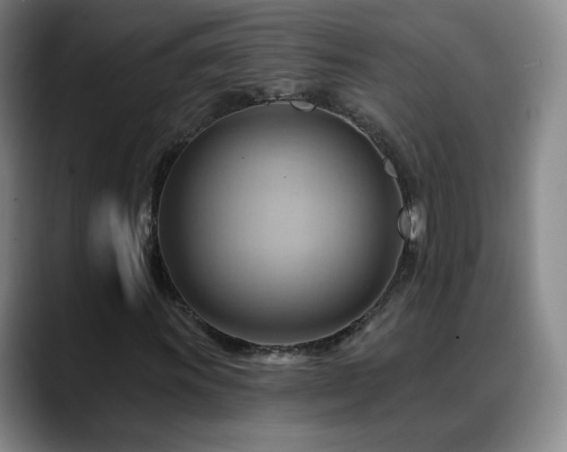 X0000088861011200706151732