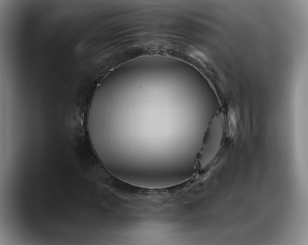 X0000088861013200706151732