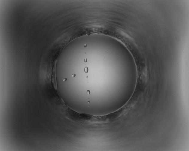 X0000088861014200706151732